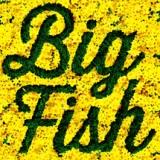 Buy Big Fish album